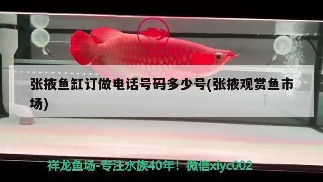 宜春龍魚專賣店：宜春哪里有觀賞魚批發市場