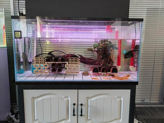 青島哪家魚缸店口碑最好？ 青島哪家魚缸店口碑最好？ 龍魚百科 第5張
