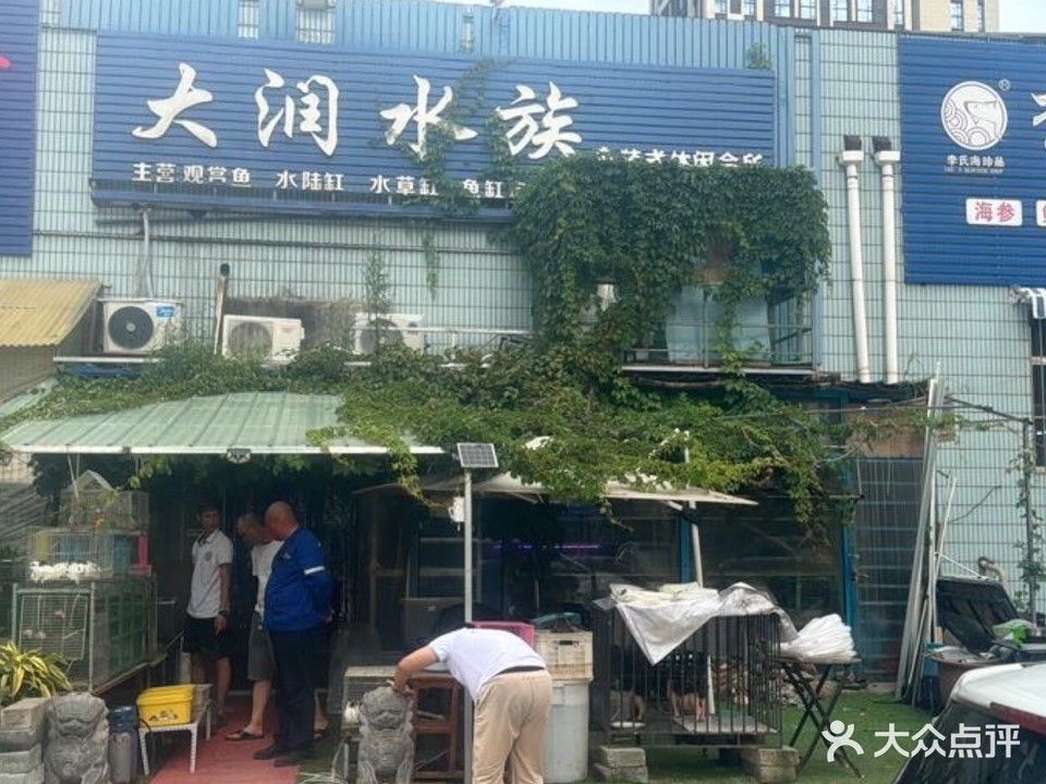 青島哪家魚缸店口碑最好？ 青島哪家魚缸店口碑最好？ 龍魚百科 第4張