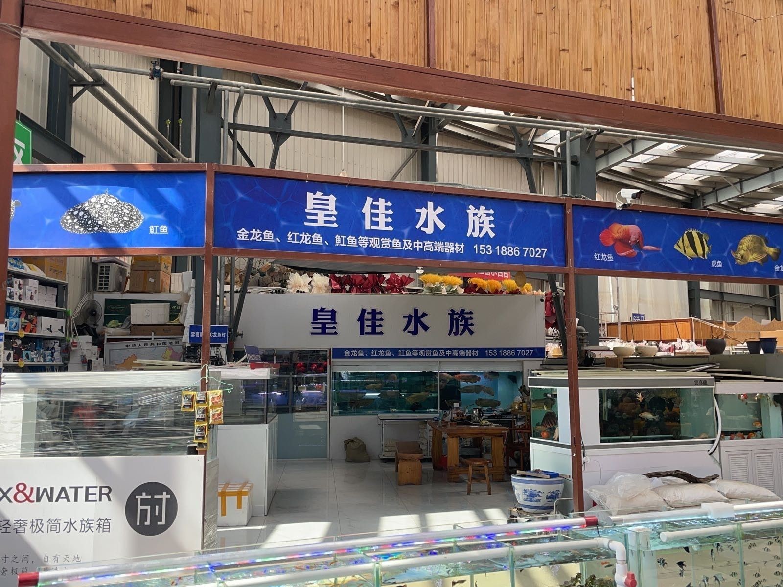 青島哪家魚缸店口碑最好？ 青島哪家魚缸店口碑最好？ 龍魚百科 第1張