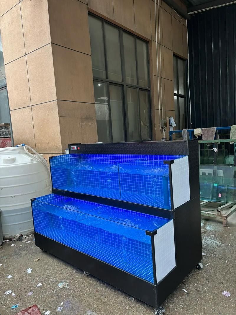 青島哪家魚缸店口碑最好？ 青島哪家魚缸店口碑最好？ 龍魚百科 第7張