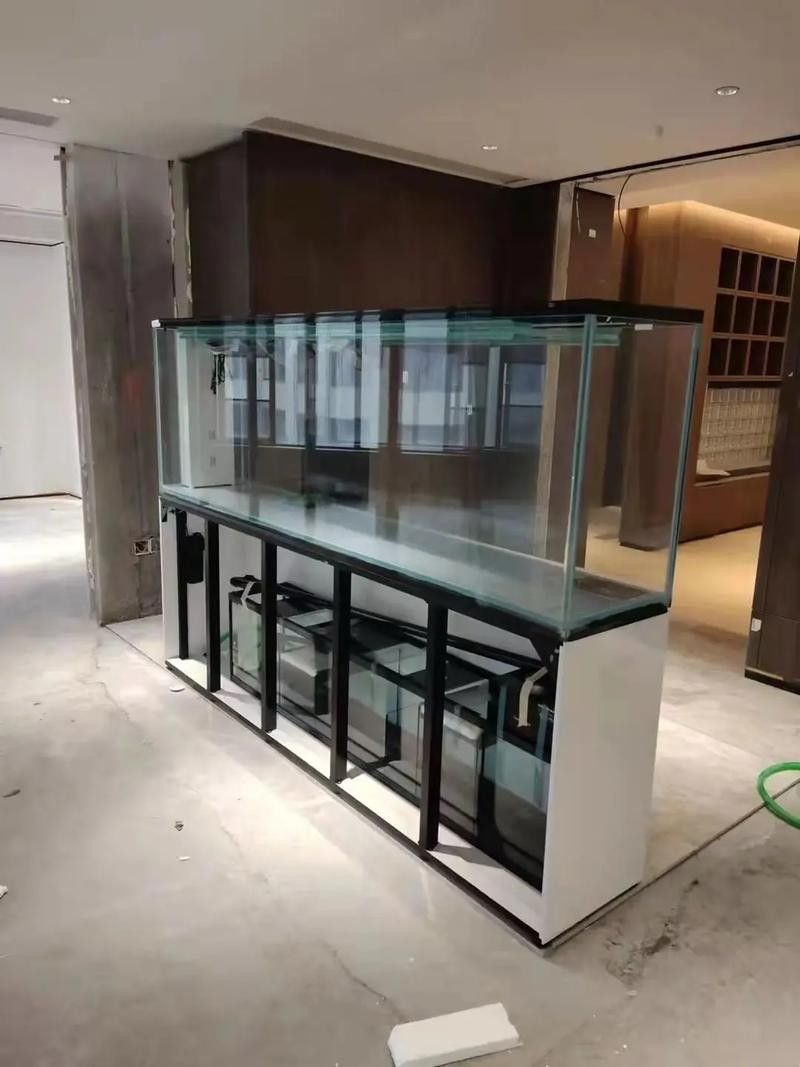 青島哪家魚缸店口碑最好？ 青島哪家魚缸店口碑最好？ 龍魚百科 第8張