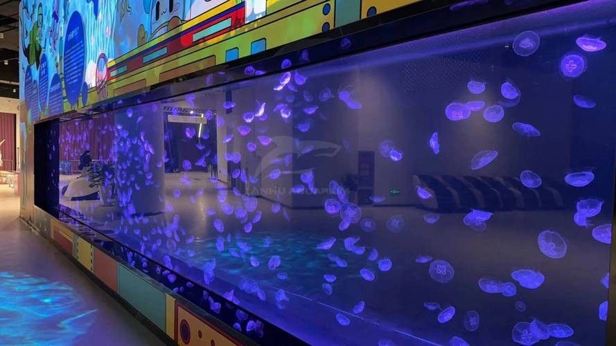 青島哪家魚缸店口碑最好？ 青島哪家魚缸店口碑最好？ 龍魚百科 第9張