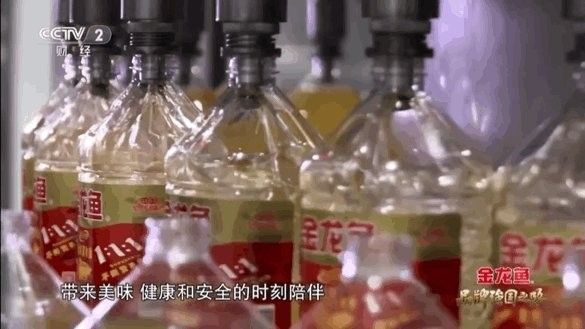 金龍魚生態稻有哪些系列