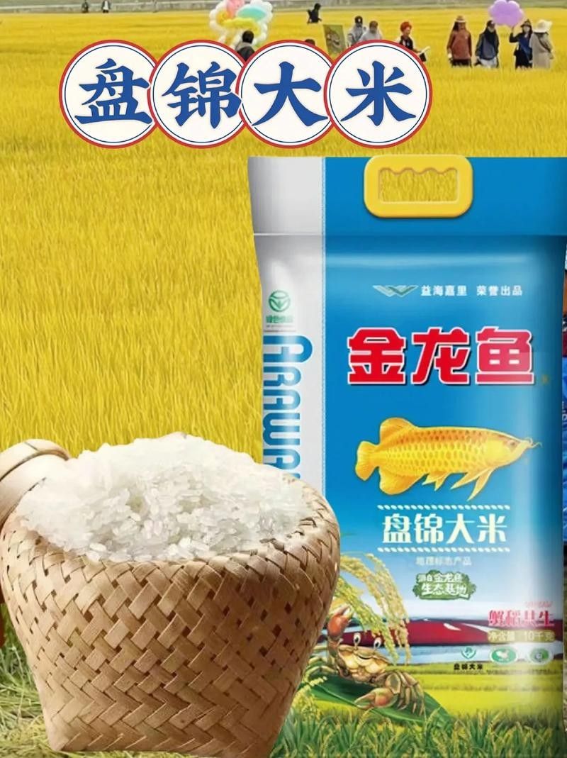 金龍魚生態稻有哪些系列