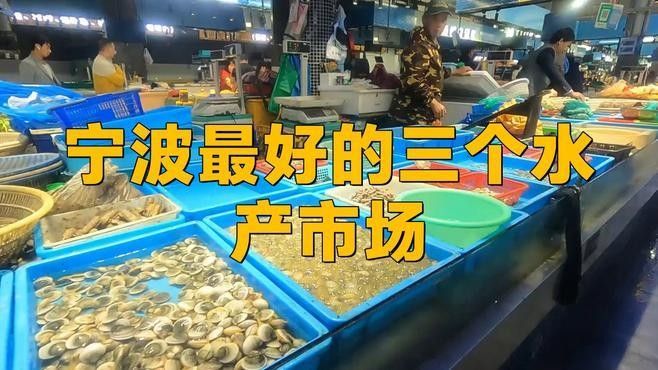 寧波龍魚市場的價格如何