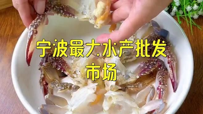 寧波龍魚市場的價格如何