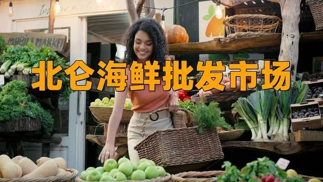 寧波龍魚市場的價格如何