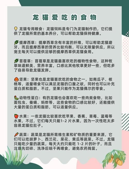 如何預防龍貓便秘