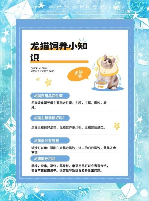 如何預防龍貓便秘