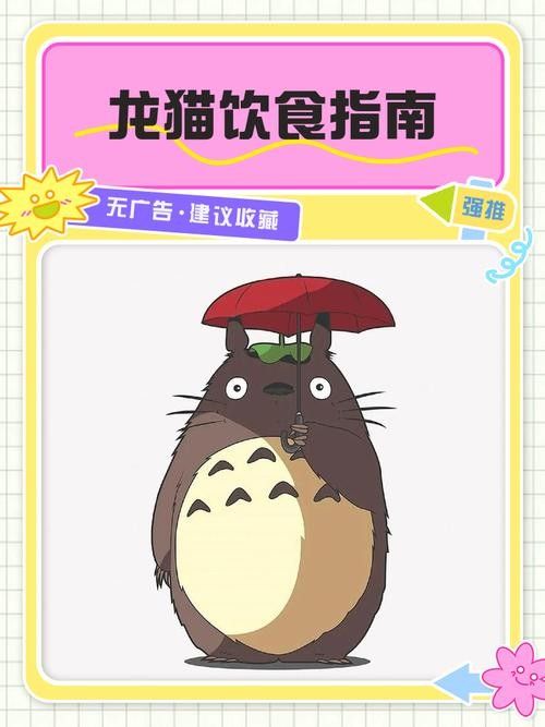 如何預防龍貓便秘