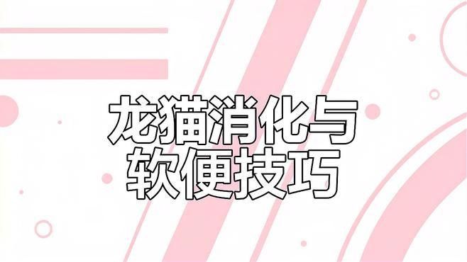 如何預防龍貓便秘