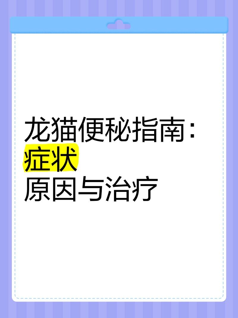 如何預防龍貓便秘