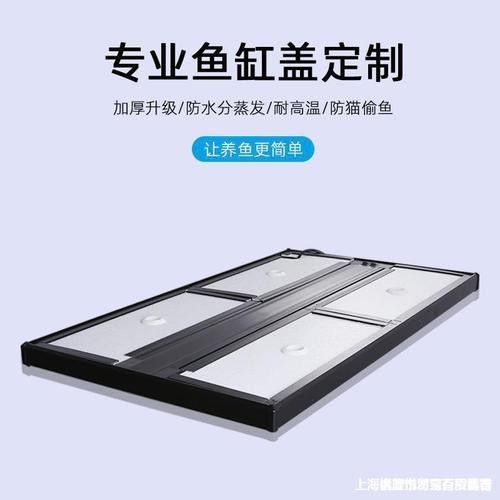 龍魚水族箱需要哪些配件（觀賞魚龍魚水族箱配件選擇北嶺隱桃照小李子展開）