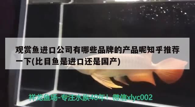 觀賞魚進口公司有哪些品牌的產品呢知乎推薦一下(比目魚是進口還是國產)
