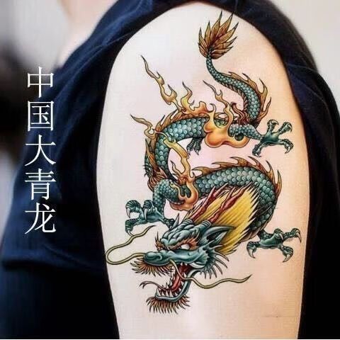 青龍魚紋身的價(jià)格是多少（青龍魚紋身價(jià)格是多少）