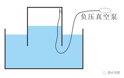 龍魚三條混養技巧和方法（龍魚三條混養技巧和方法視頻）