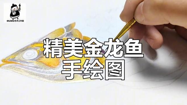 金龍魚素描作品欣賞（金龍魚素描作品欣賞：金龍魚素描作品欣賞，揭示其藝術(shù)魅力和文化價值）