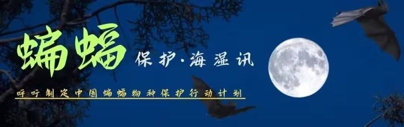 如何判斷洞穴是否需要清洗？（洞穴是否需要清洗是一個涉及多個因素的決策過程）