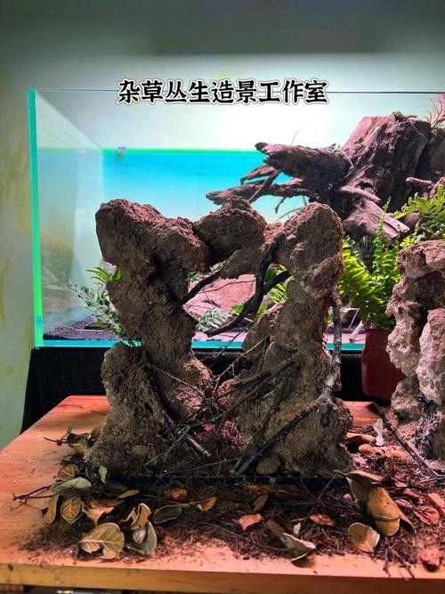 龍魚魚鱗白色可能是哪些疾病？（龍魚魚鱗白色癥狀會(huì)自行消失嗎如何預(yù)防龍魚魚鱗變白）