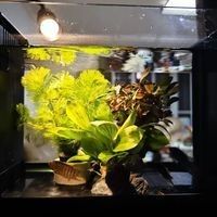 長虹水族旗艦店的龍魚缸價(jià)格如何？