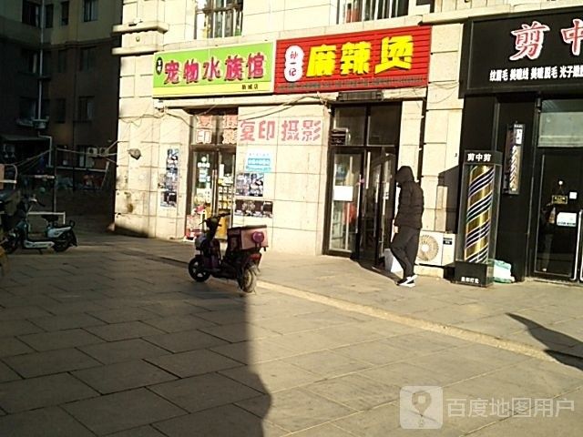 <strong><mark>甘井子</mark></strong>哪個水族館龍魚好？祥龍魚場龍魚（大連祥龍魚場）