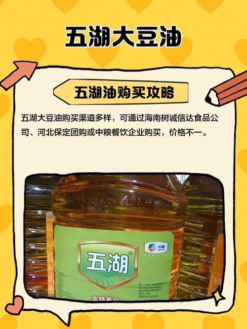 五湖和金龍魚哪個好（五湖和金龍魚哪個更好）