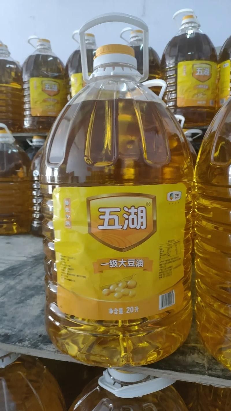 五湖和金龍魚哪個好（五湖和金龍魚哪個更好）