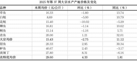 斑尾龍魚(yú)的價(jià)格是多少（如何飼養(yǎng)斑尾龍魚(yú)？斑尾龍魚(yú)需要多大的魚(yú)缸？）