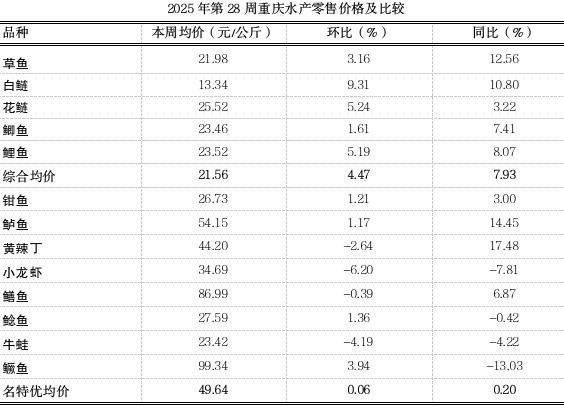 斑尾龍魚的價格是多少（如何飼養斑尾龍魚？斑尾龍魚需要多大的魚缸？）