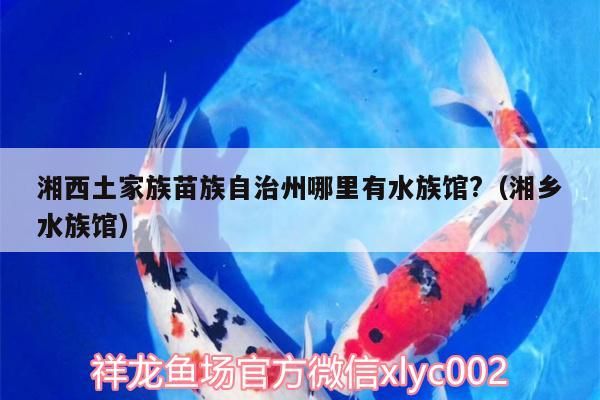 <strong><mark>湘西</mark></strong>土家族苗族自治州哪里有水族館?（湘鄉水族館）