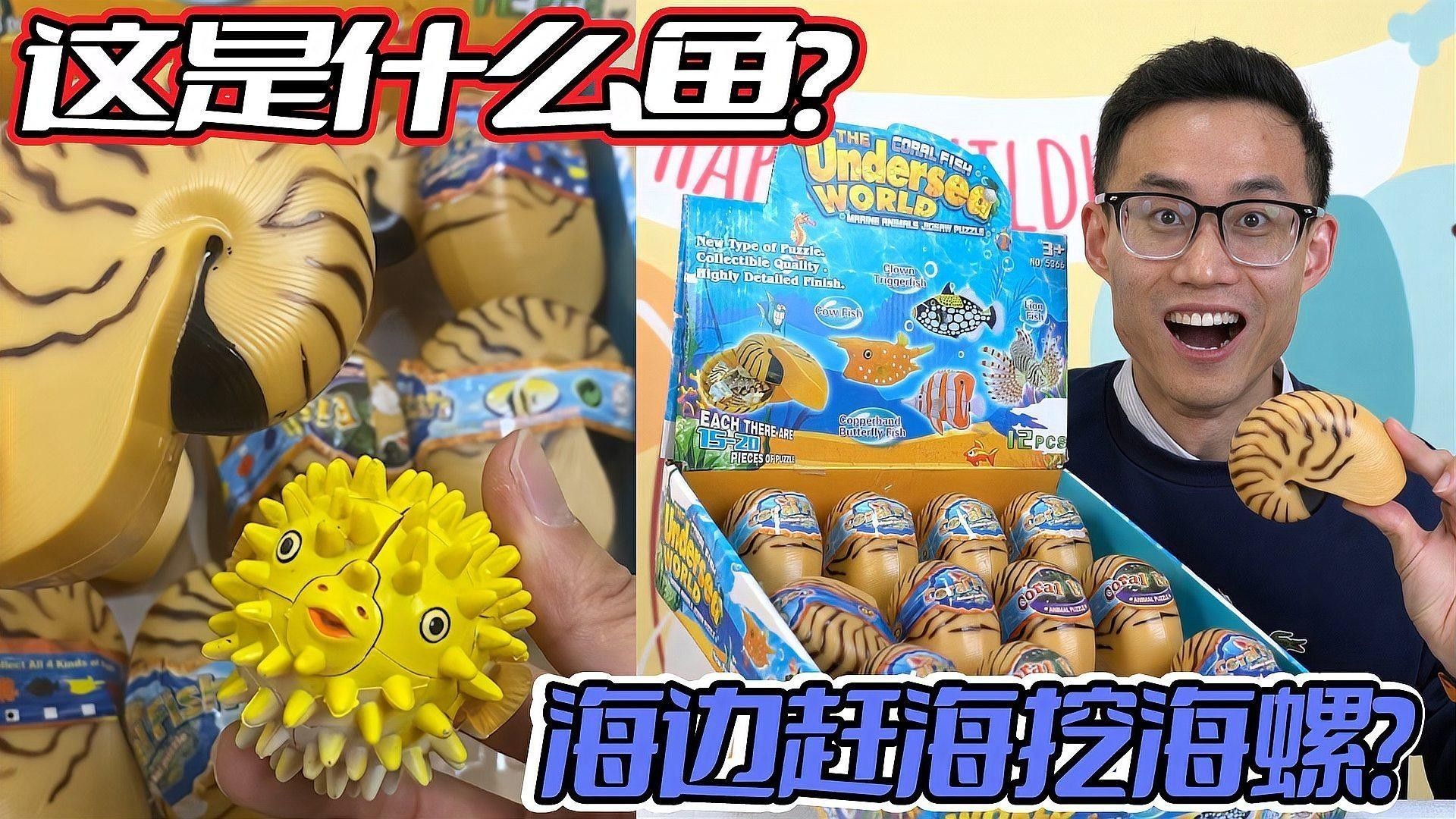 海龍魚有哪些種類（海龍魚是一類生活在海洋中的魚類，海龍魚的種類繁多） 海龍魚有哪些種類（海龍魚是一類生活在海洋中的魚類，海龍魚的種類繁多） 龍魚百科 第2張