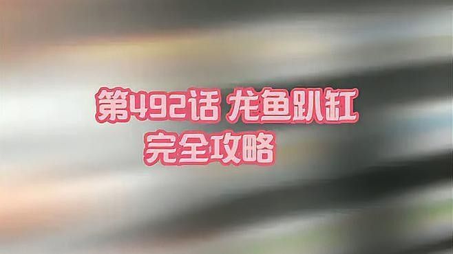 龍魚趴缸多久會死亡（關于龍魚趴缸問題） 龍魚趴缸多久會死亡（關于龍魚趴缸問題） 龍魚百科 第1張