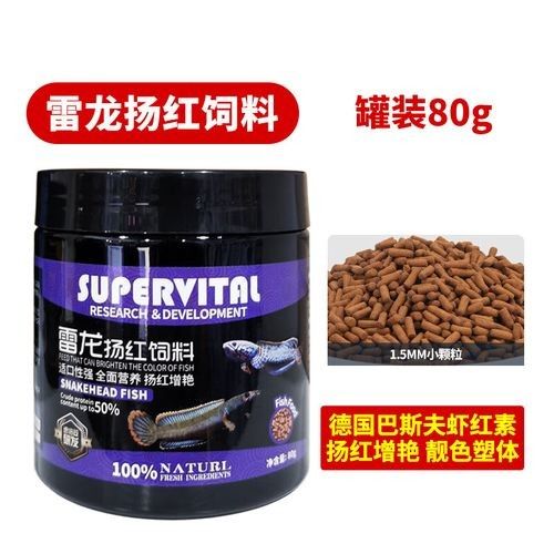 速倍妥雷龍飼料如何發色（倍妥雷龍飼料的發色過程）