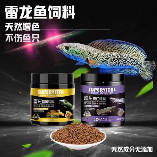 速倍妥雷龍飼料如何發色（倍妥雷龍飼料的發色過程）