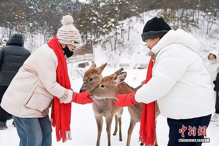黑龍江湯旺河（伊春湯旺河旅游攻略） 黑龍江湯旺河（伊春湯旺河旅游攻略） 觀賞魚百科 第3張