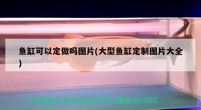 魚缸可以定做嗎圖片(大型魚缸定制圖片大全)