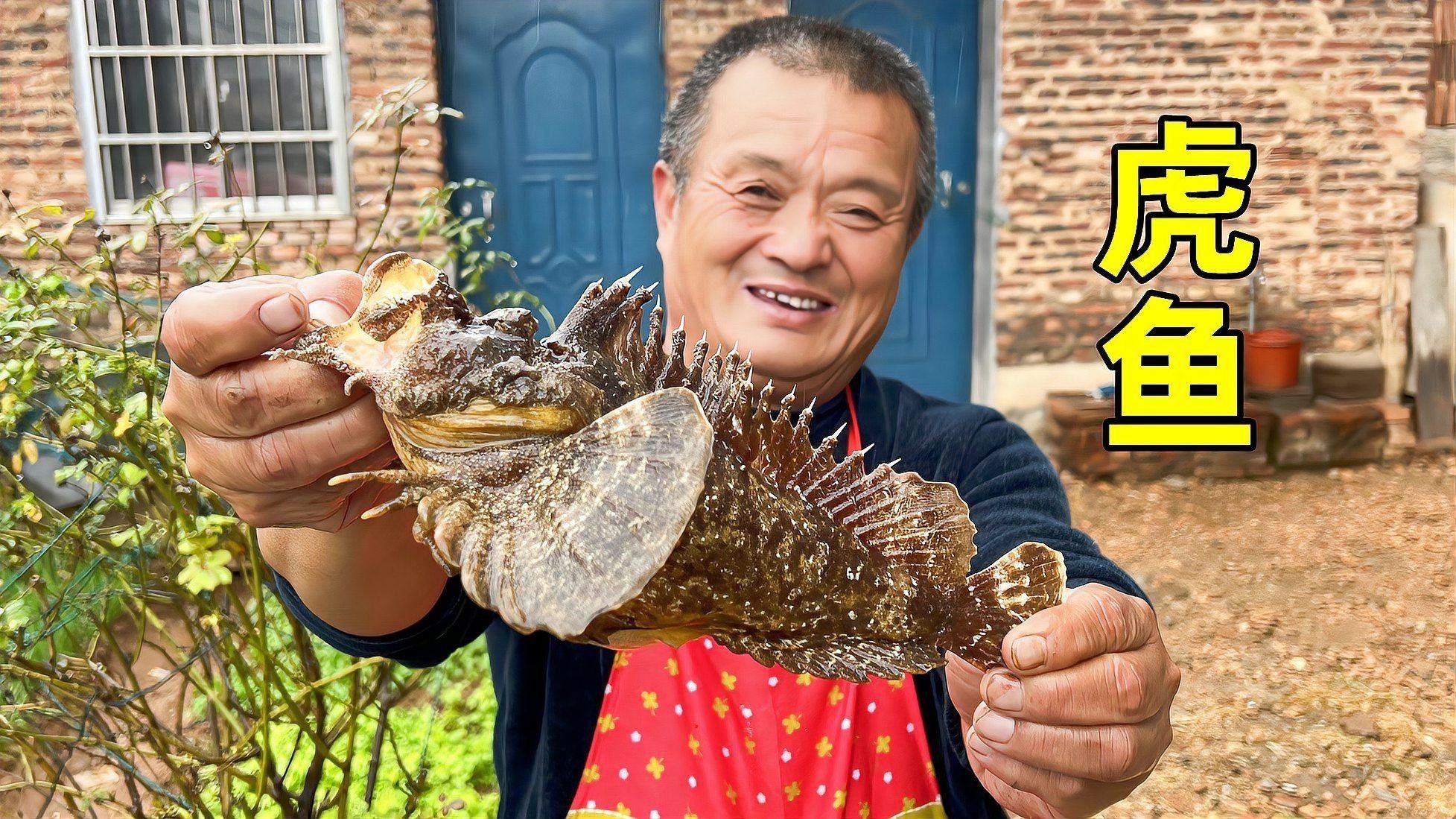 如何判斷龍魚和虎魚是否健康（如何通過日常觀察，發現觀賞魚的健康狀況）