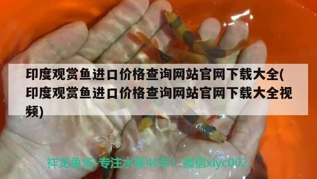 印度觀賞魚進口價格查詢網站官網下載大全(印度觀賞魚進口價格查詢網站官網下載大全視頻)