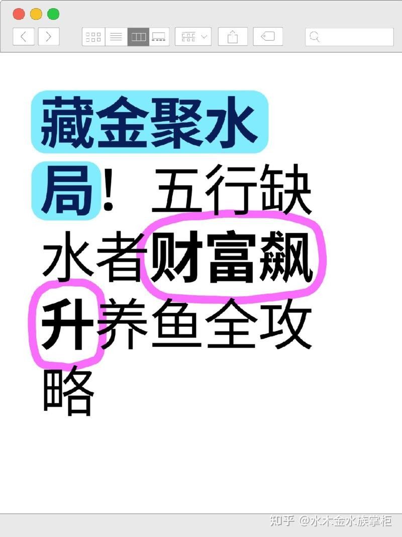 屬雞者養龍魚有哪些開運方法（屬雞者養龍魚的開運方法）