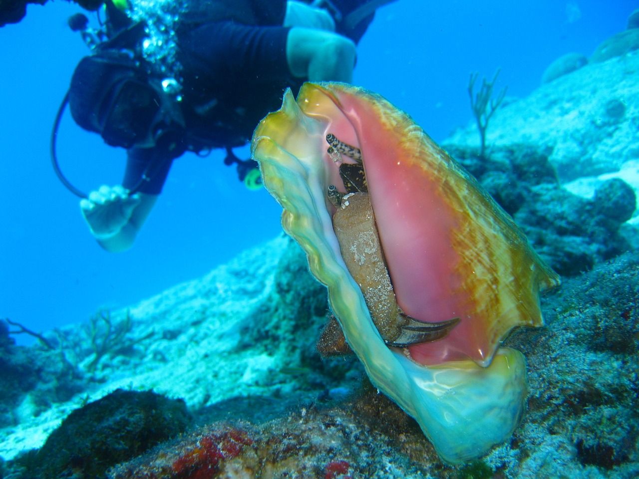 海口哪里可以定制魚缸燈（威海哪里有定制魚缸的）