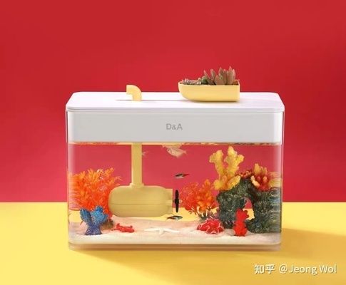 龍魚疾病的預(yù)防和治療視頻（龍魚疾病的預(yù)防和治療視頻講解）（龍魚健康狀態(tài)對(duì)整個(gè)水族環(huán)境至關(guān)重要治療龍魚疾病的方法）