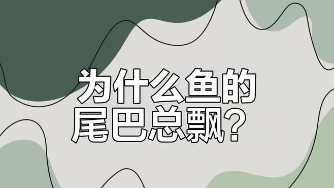 如何預防龍魚尾巴上翹？