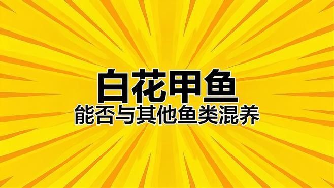 斑馬狗頭魚和哪些魚混養比較合適（斑馬狗頭魚混養指南） 斑馬狗頭魚和哪些魚混養比較合適（斑馬狗頭魚混養指南） 龍魚百科 第3張