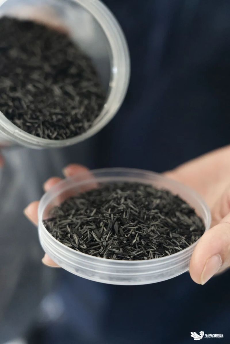 金龍魚武漢生產基地