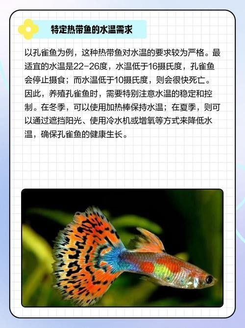 哪種雷龍魚與虎斑恐龍魚混養最佳（虎斑恐龍魚和虎斑恐龍魚混養時需要考慮以下幾點）