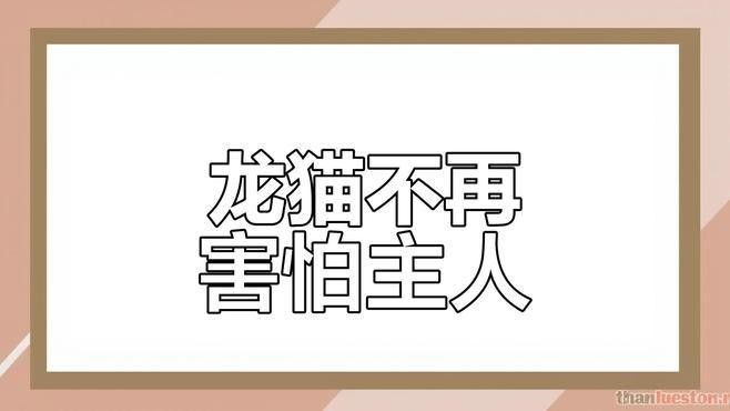 龍貓多久會適應新環境