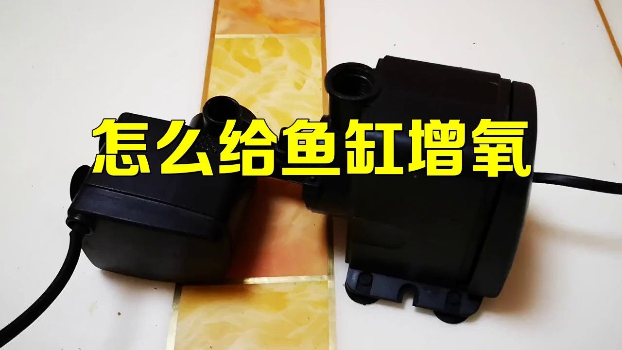 哪種增氧方法最有效？（怎么給魚缸增氧）
