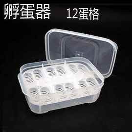巴中龍魚的價(jià)格是多少（巴中龍魚的價(jià)格是多少巴中龍魚的價(jià)格有望保持穩(wěn)定或小幅上漲）