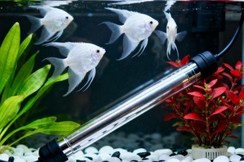 使用什么品牌的加熱棒最好